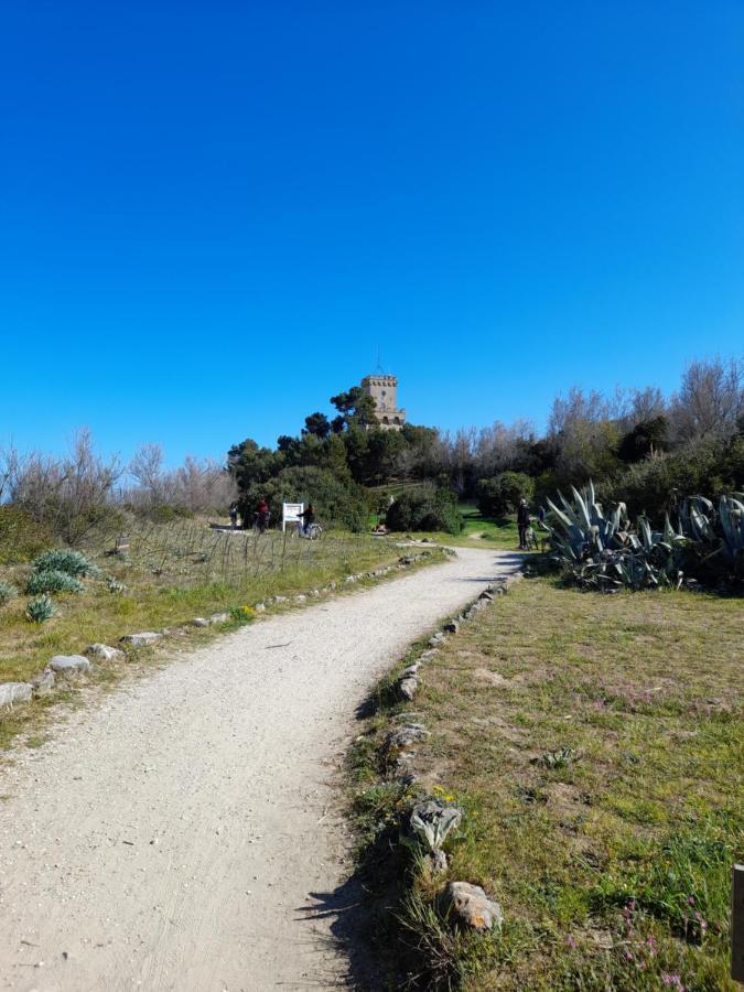 Bouganville Casa Vacanza Ambiente Climatizzato Con Wi Fi Pineto Exterior foto