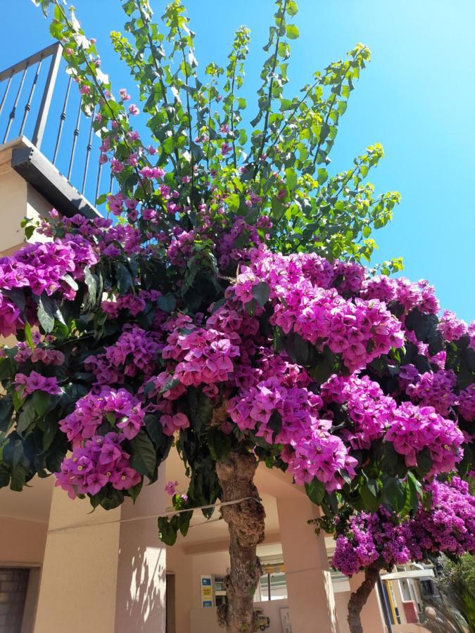 Bouganville Casa Vacanza Ambiente Climatizzato Con Wi Fi Pineto Exterior foto