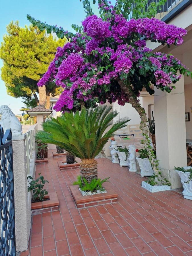 Bouganville Casa Vacanza Ambiente Climatizzato Con Wi Fi Pineto Exterior foto